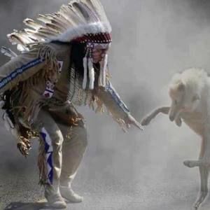 Meet your Posher, Elisabeth